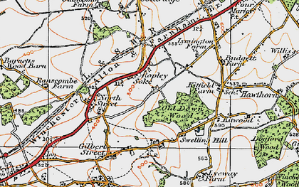 Old map of Ropley Soke in 1919