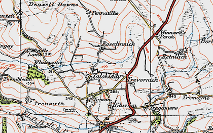 Old map of Rosedinnick in 1919