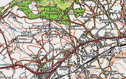 Old map of Roskear Croft in 1919