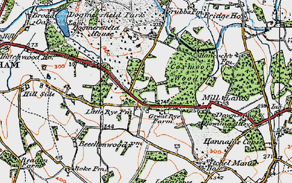 Old map of Rye Common in 1919