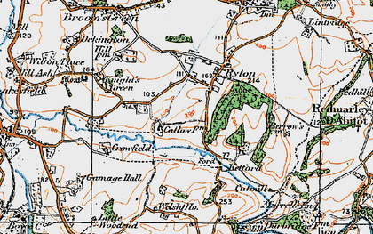 Old map of Ryton in 1919