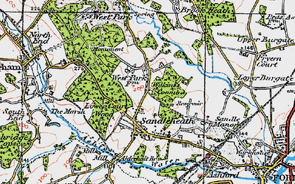 Old map of Wilkins's Coomb in 1919