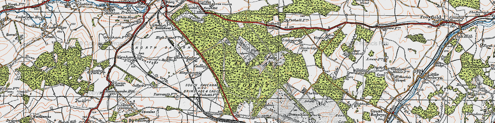 Old map of Savernake Forest in 1919