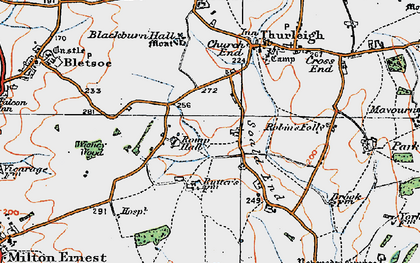 Old map of Wigney Wood in 1919