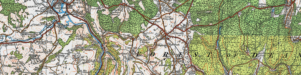Old map of Scowles in 1919