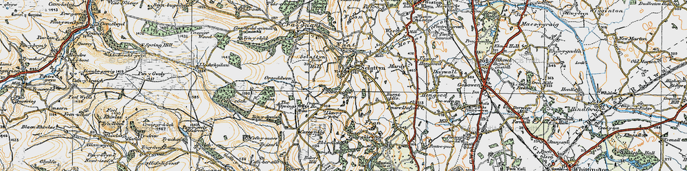 Old map of Selattyn in 1921