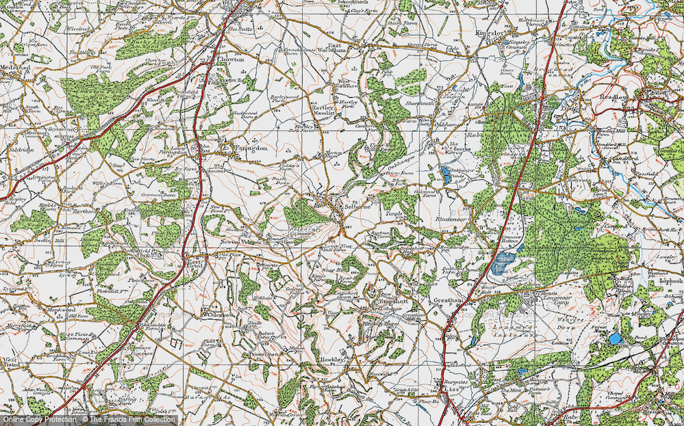 Old Map of Selborne, 1919 in 1919