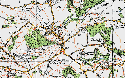 Old map of Selborne in 1919