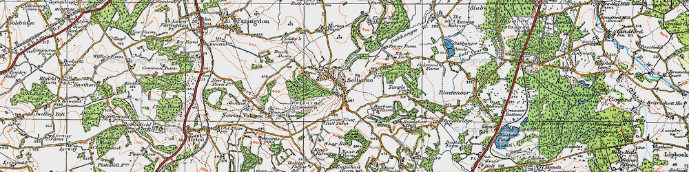 Old map of Selborne in 1919