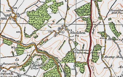 Old map of Shalden in 1919