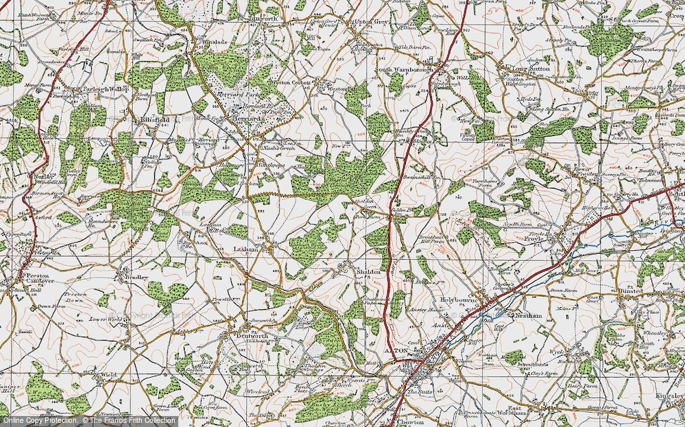 Old Map of Shalden Green, 1919 in 1919