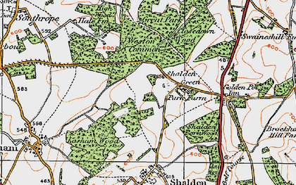 Old map of Shalden Green in 1919
