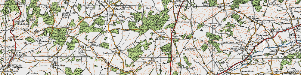 Old map of Shalden Green in 1919
