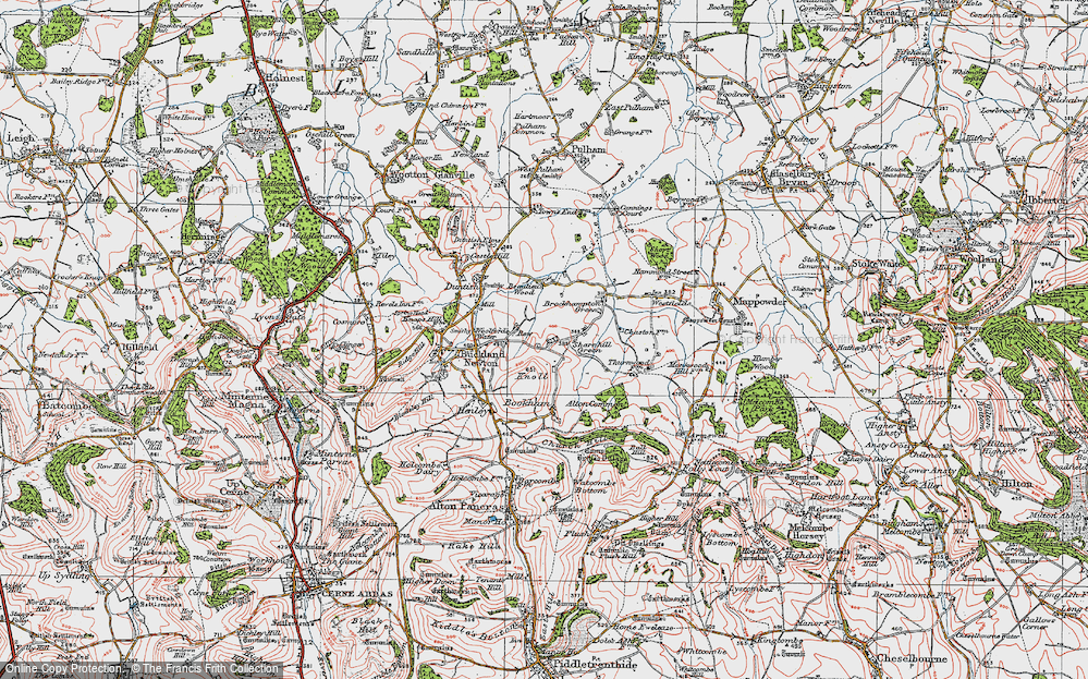 Old Map of Sharnhill Green, 1919 in 1919