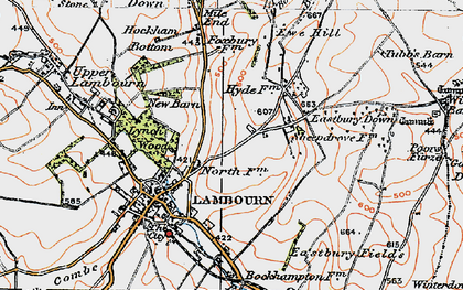 Old map of Bockhampton Down in 1919