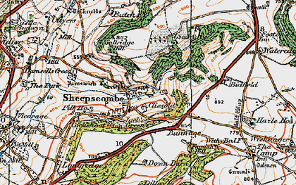 Old map of Sheepscombe in 1919