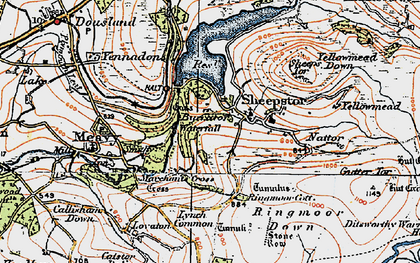 Old map of Ringmoor Down in 1919