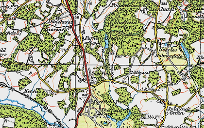Old map of Wilmshurst in 1920