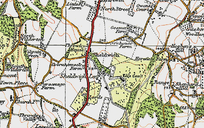 Old map of Sheldwich Lees in 1921