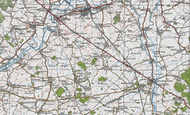 Shenley Wood, 1919