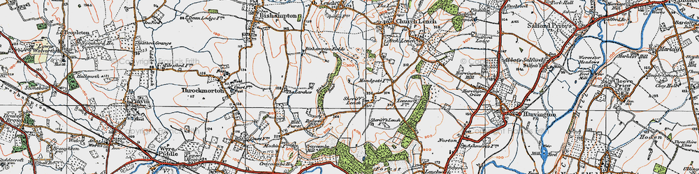 Old map of Bishampton Bank in 1919