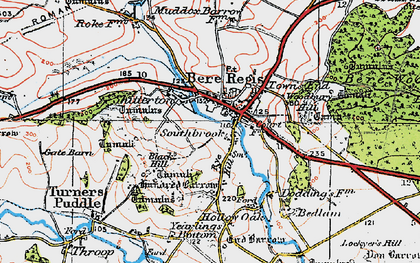 Old map of Shitterton in 1919