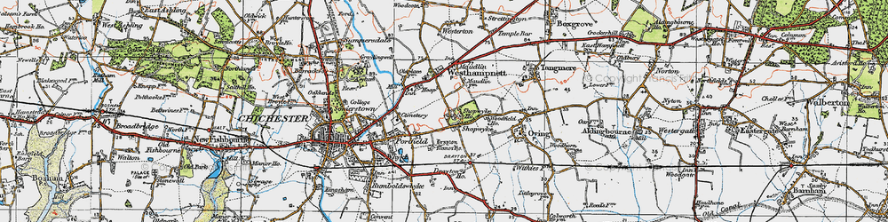 Old map of Shopwyke in 1919