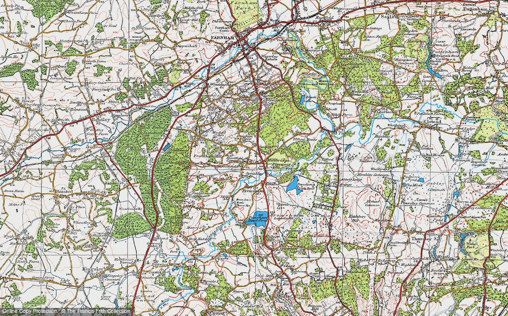 Old Map of Shortfield Common, 1919 in 1919