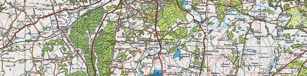 Old map of Shortfield Common in 1919