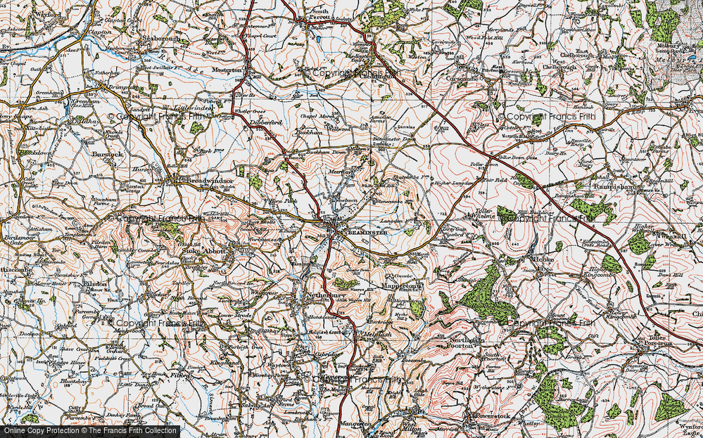 Old Map of Shortmoor, 1919 in 1919