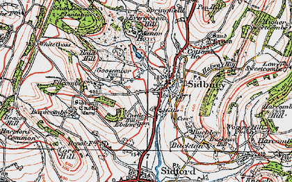 Old map of Sidbury in 1919