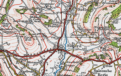 Old map of Sidford in 1919