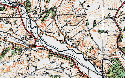 Old map of Skyborry Green in 1920