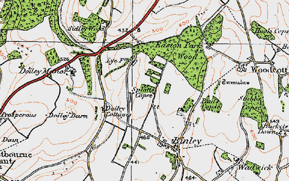 Old map of Sladen Green in 1919