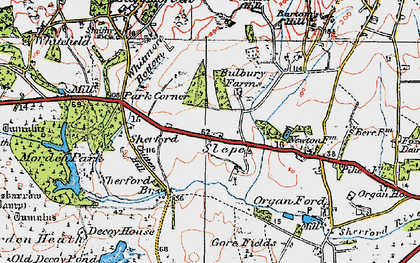 Old map of Bulbury in 1919