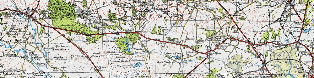 Old map of Slepe in 1919