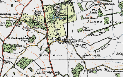 Old map of Bogs Plantn in 1925