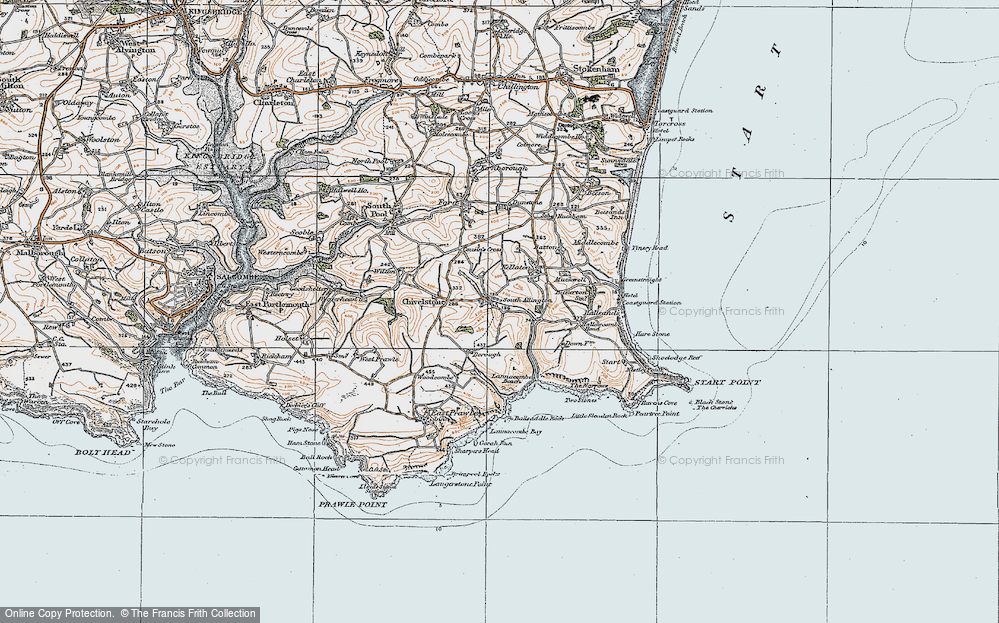 Old Map of South Allington, 1919 in 1919