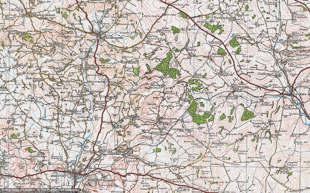 Old Map of South Poorton, 1919 in 1919