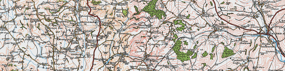 Old map of South Poorton in 1919