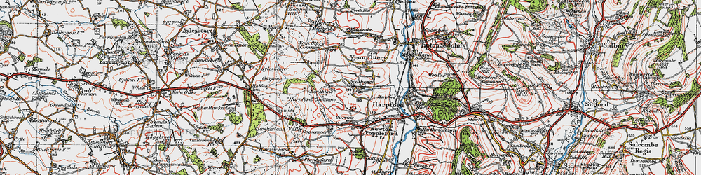 Old map of Southerton in 1919