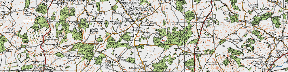Old map of Southrope in 1919