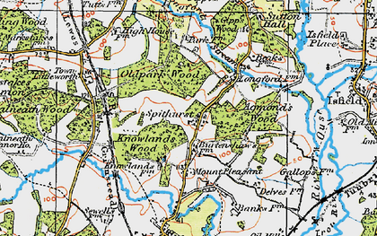 Old map of Spithurst in 1920
