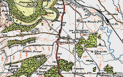 Old map of Beech Wood in 1925