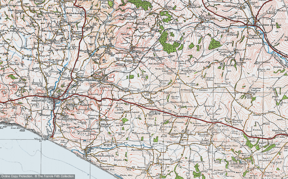 Old Map of Spyway, 1919 in 1919