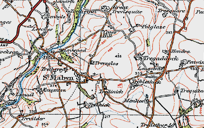 Old map of Tredinnick in 1919