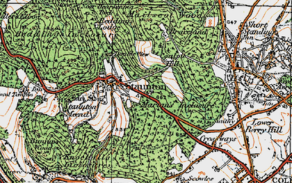 Old map of Birchen Wood in 1919
