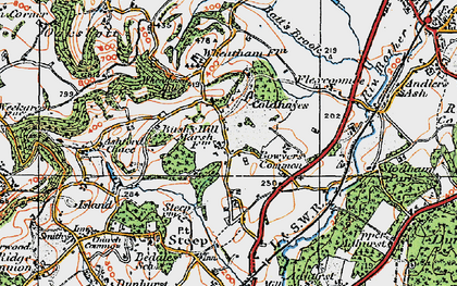 Old map of Steep Marsh in 1919