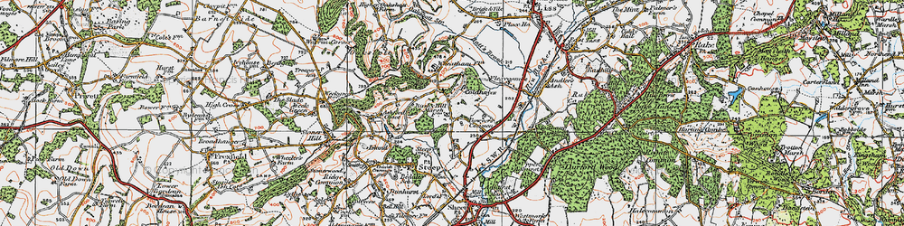 Old map of Steep Marsh in 1919
