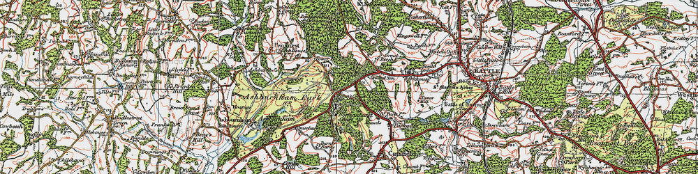 Old map of Beechdown Wood in 1921